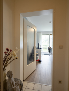 Blick Flur-Wohnzimmer - BETONGOLD!! 1-Zi.-WOHNUNG MIT SONNENBALKON! (BARGTEHEIDE)