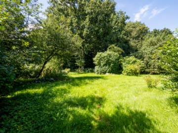 Garten - DAS LEBEN IST EIN PONYHOF. EINZELHAUS MIT PONYSTALL IN AMMERSBEK (SANIERUNGSBEDÜRFTIG)